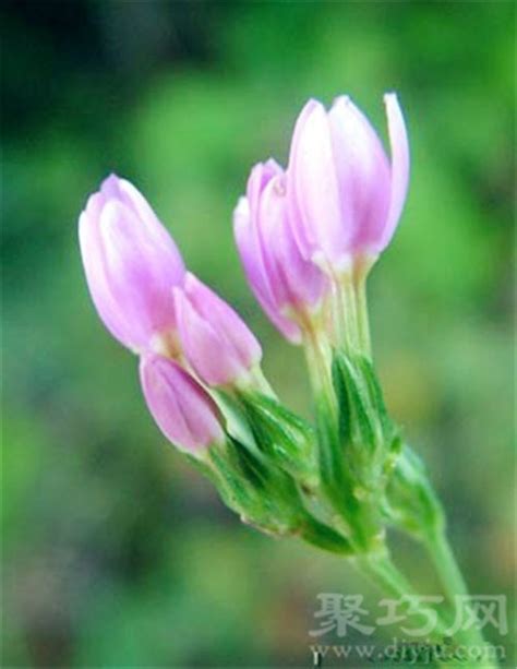 6月7日生日